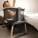 61Rv-YWKbHL-qum2u90mygroqm96ufc4qovet6ztqz2zoz1h96mln4